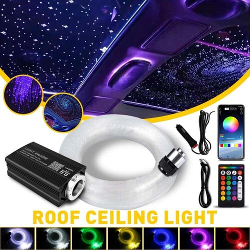 1000pc car home - headliner, star
