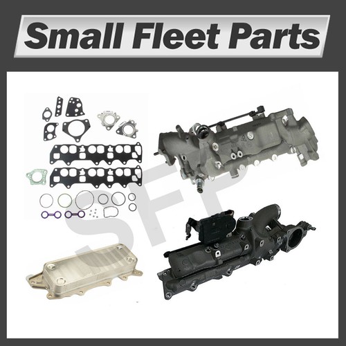 Sprinter intake manifolds - intake, oil